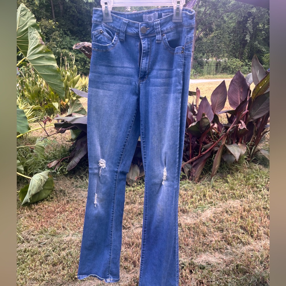 YMI Blue Distressed Flare Jeans